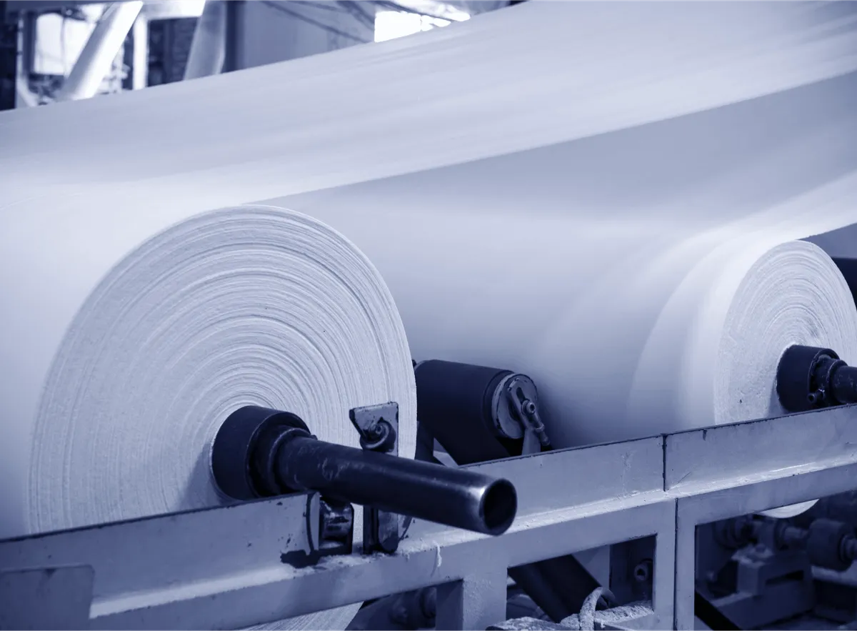 Pulp and paper